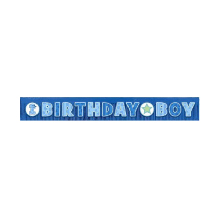 Birthday Boy Banner